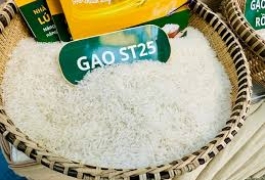 xuat-khau-gao-hang-dau-the-gioi-nhung-nong-dan-viet-nam-van-ngheo-1-1-1